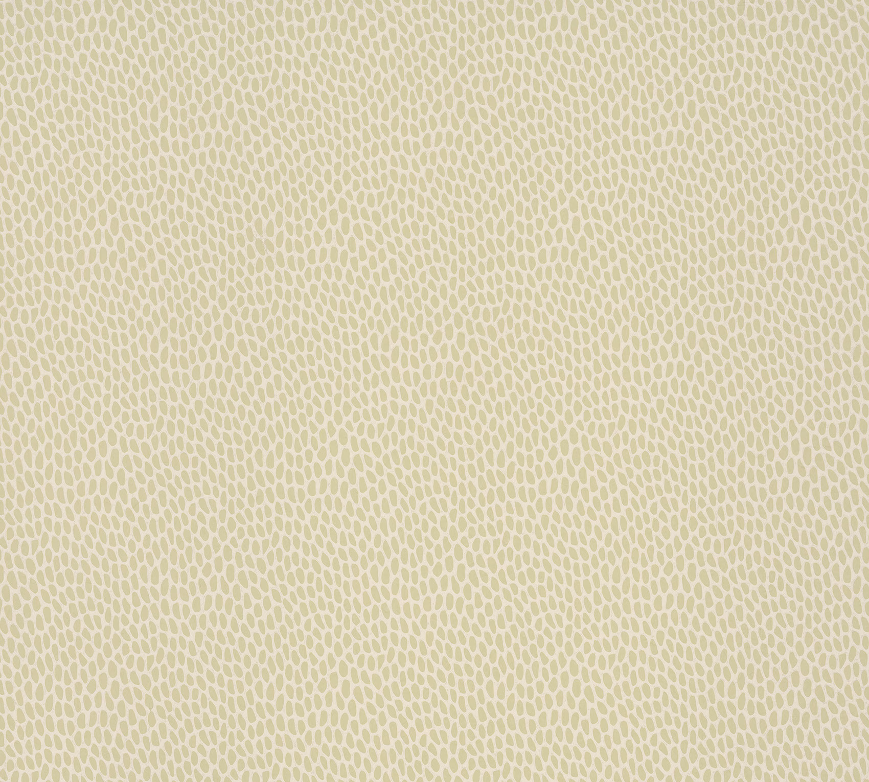 Обои Paint & Paper Library Botany Seedpod Willow V 0360SEWILLO